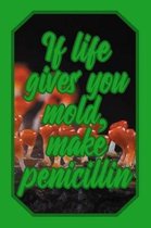 If Life Gives You Mold, Make Penicillin