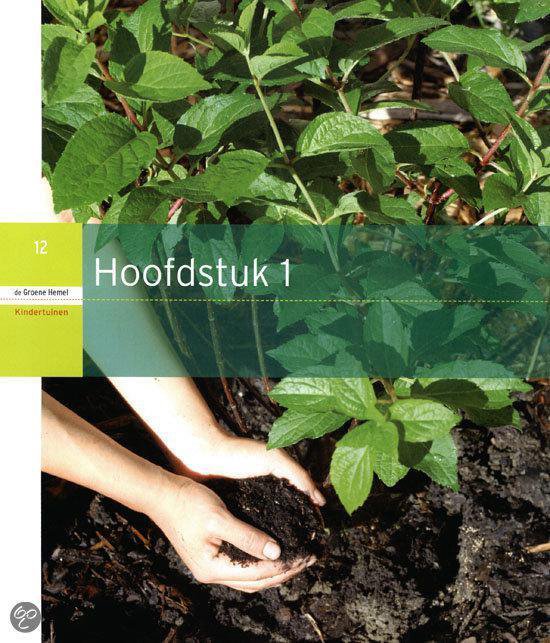 De Groene Hemel + DVD