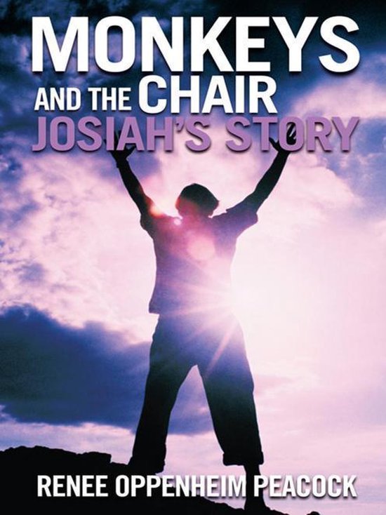 Monkeys and the Chair