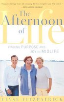 Afternoon of Life, The