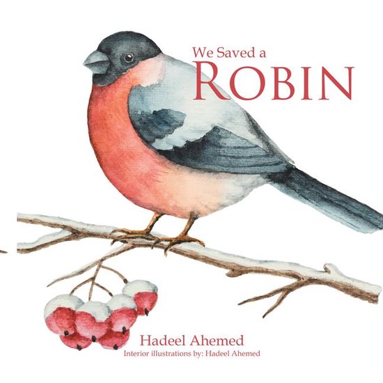 We Saved a Robin - cover