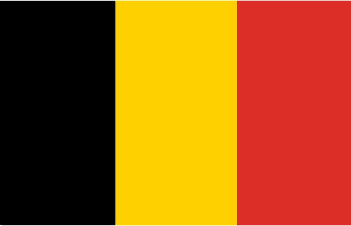 Belgische vlag van 90x150 cm | bol.com
