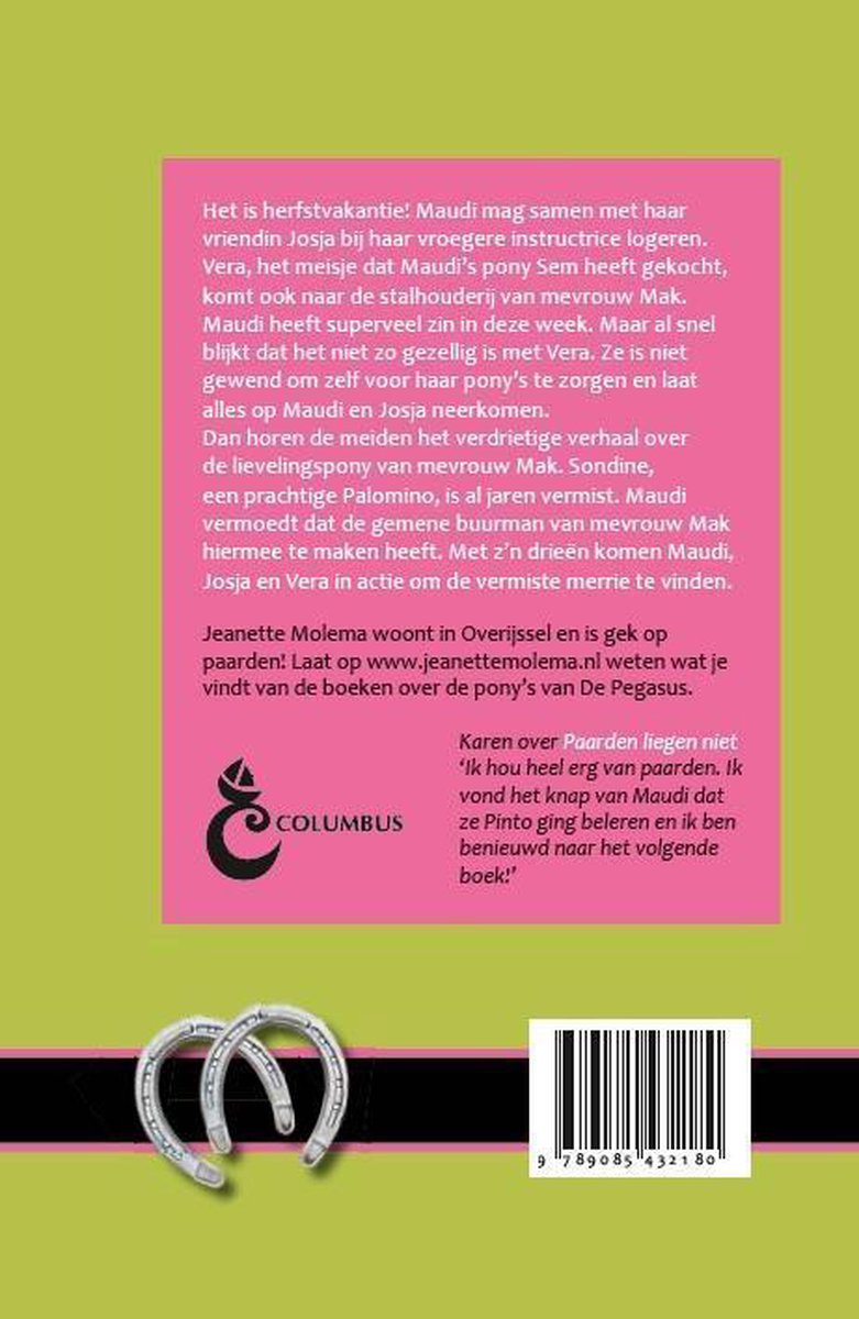 De pony's van de Pegasus 4 - Palomino vermist - back cover