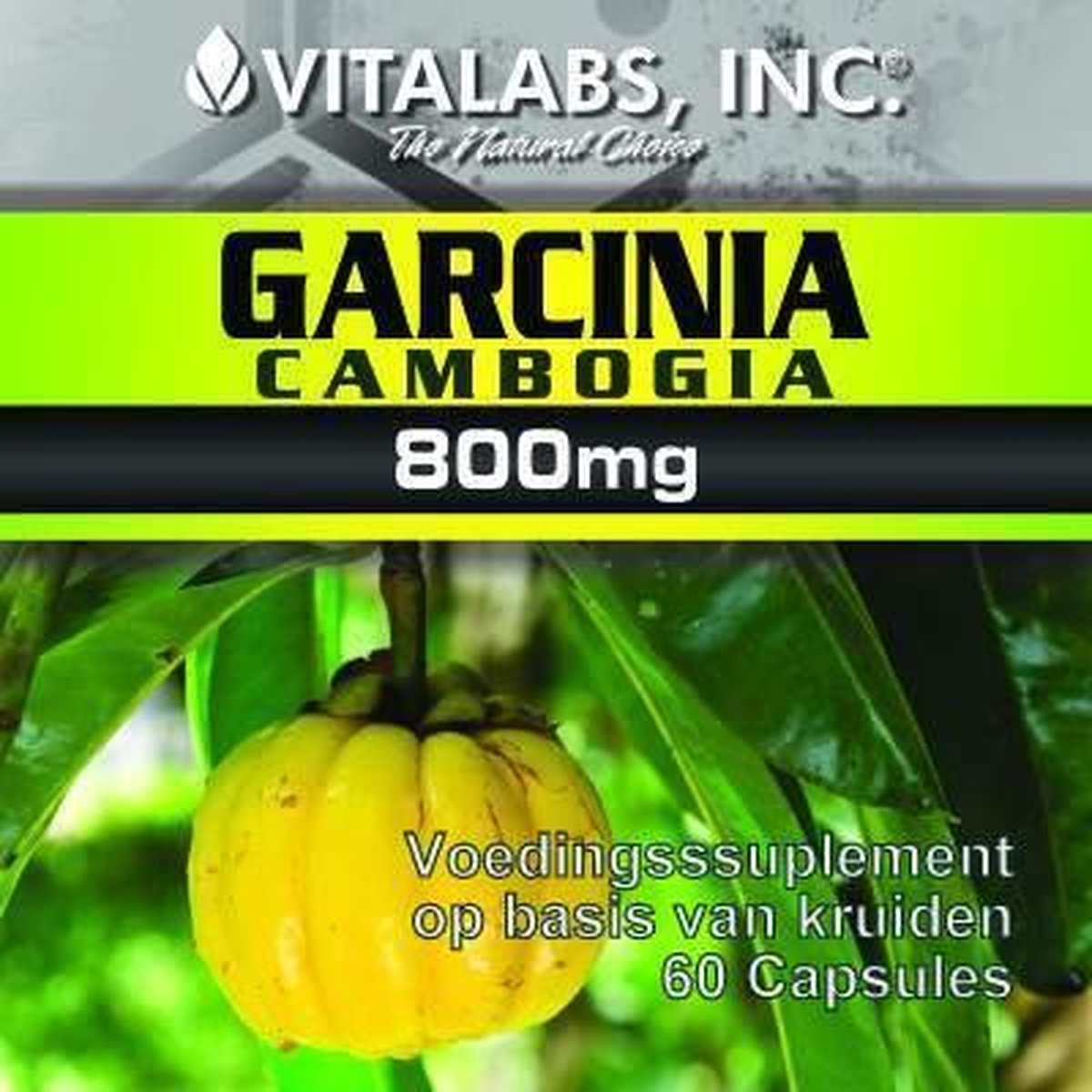 Afvallen met Garcinia Cambogia | Mens en Gezondheid: Dieet