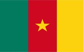 Vlag Kameroen  90 x 150 cm