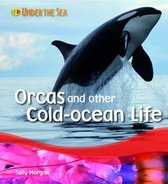 Orcas and Other Cold Ocean Life