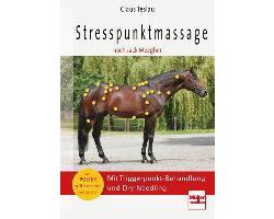 Omslag van Stresspunktmassage nach Jack Meagher
