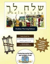 Bar/Bat Mitzvah Survival Guides: Shelah Leha (Shabbat am)