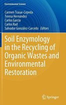 Soil Enzymology in the Recycling of Organic Wastes and Environmental Restoration