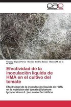 Efectividad de la inoculación líquida de HMA en el cultivo del tomate