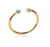 Amanto Ring Dorna - Dames - 925 Zilver Goudverguld - Turkoois - Maat 58 - 18,5 mm