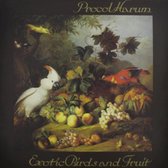 Exotic Birds And Fruit