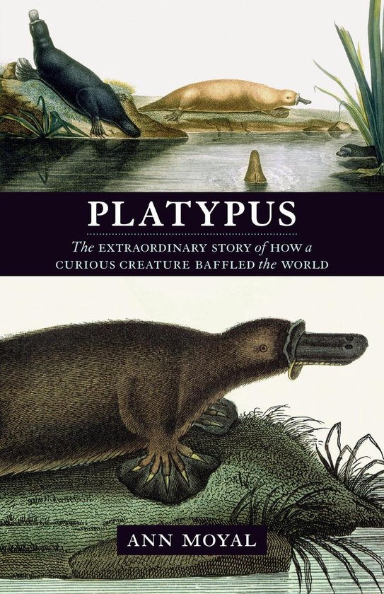 Platypus - cover