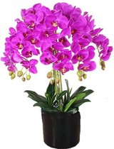 Orchidee Kunstplant 70 cm Roze | Phaleanopsis Kunstplant | Kunst Orchidee | Kunstplanten voor Binnen