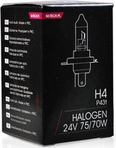 Gloeilamp M-Tech Z907 24v 70W 75W H4