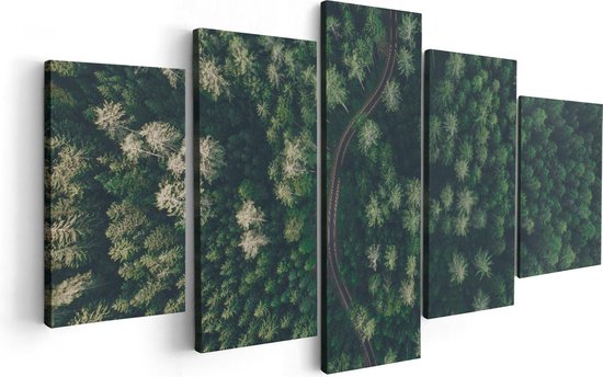 Pentaptyque Artaza - Peinture sur toile - Chemin à travers la forêt avec des Arbres - Vue de dessus - 100x50 - Photo sur toile - Impression sur toile