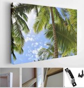Palm trees on a beach in the Caribbean Sea. Punta Cana. Saona Island - Modern Art Canvas - Horizontal - 1923071363 - 50*40 Horizontal