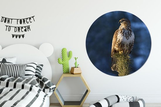 WallCircle - Cercle mural - Cercle mural - Buse - Branche - Blauw - Aluminium - Dibond - 120x120 cm - Intérieur et Extérieur XXL