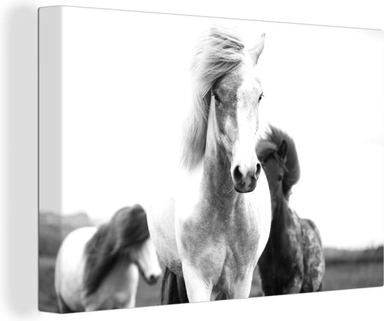 Canvas Schilderij Drie IJslandse paarden in de buitenlucht - zwart wit - 120x80 cm - Wanddecoratie