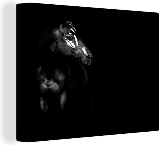 Canvas Schilderij Paard - Vlekken - Licht - 40x30 cm - Wanddecoratie