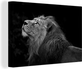 Canvas Schilderij Leeuw kijkt omhoog op een zwarte achtergrond - zwart wit - 120x80 cm - Wanddecoratie