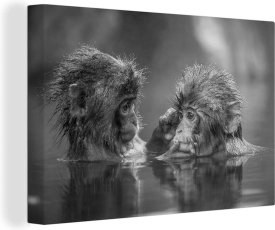 Canvas Schilderij Twee apen vrienden in het water - zwart wit - 90x60 cm - Wanddecoratie