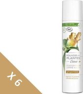 [Partij van 6] DOVE Natural Aerosol Deodorant Ginger - Women - 75 ml
