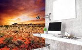 Dimex Australian Landscape Vlies Fotobehang 225x250cm 3-banen