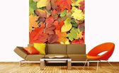 Dimex Colourful Leaves Vlies Fotobehang 225x250cm 3-banen