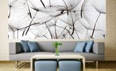 Dimex Dandelion Seeds Vlies Fotobehang 375x150cm 2-delen