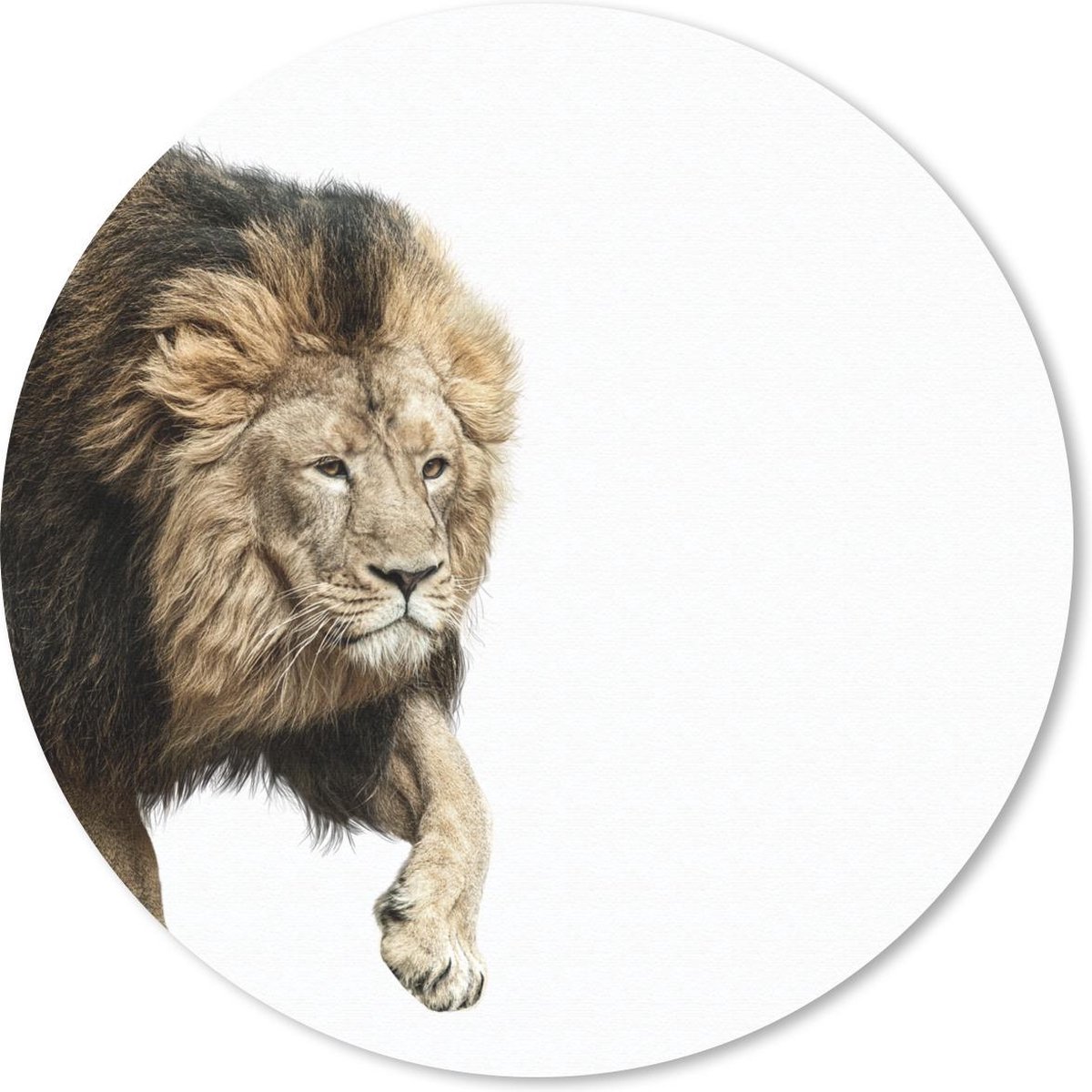 Muismat rond 30x30 cm - Mousepad Leeuw - Wit - Dieren - Ronde muismatten