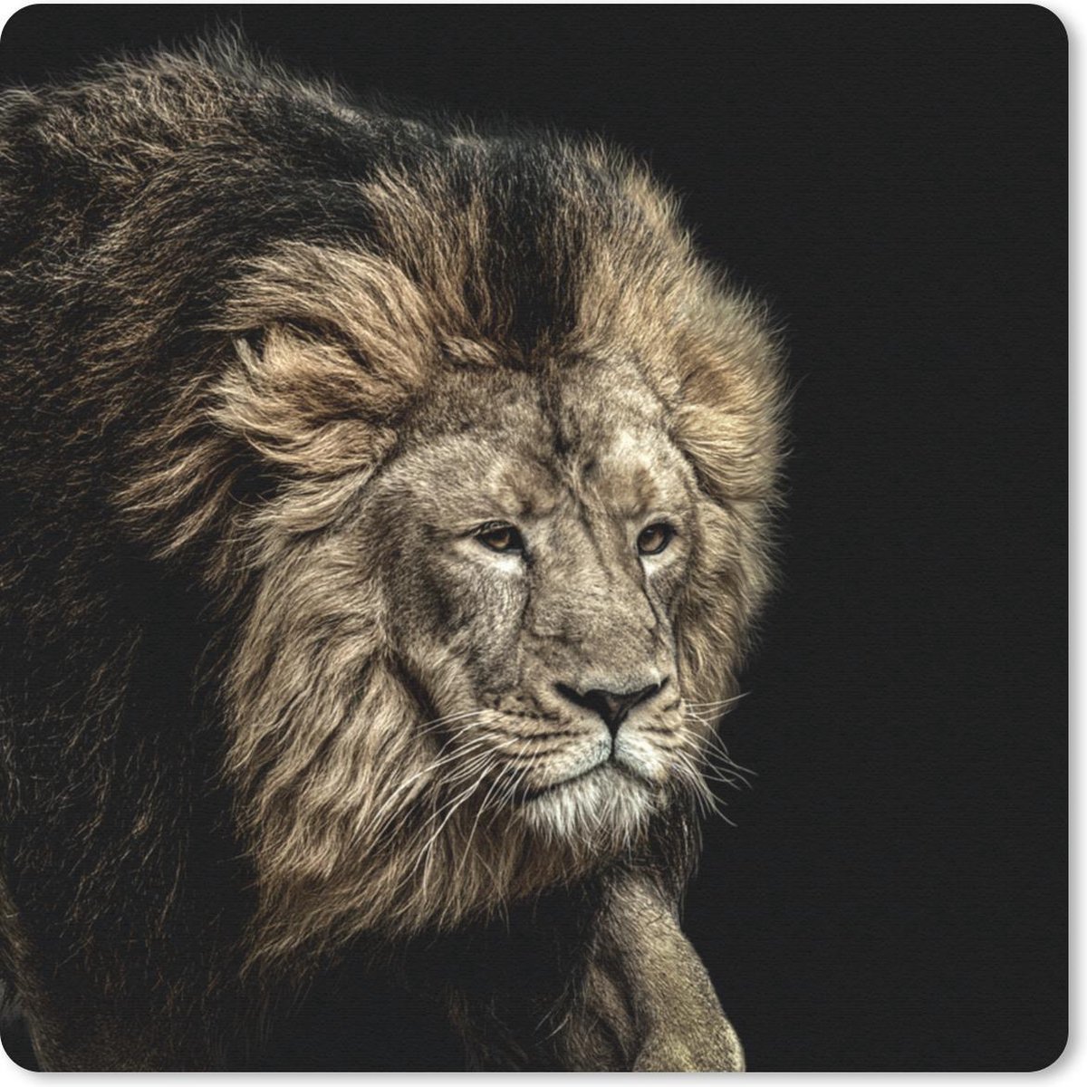 Muismat 30x30 cm - Mousepad Leeuw - Dieren - Zwart - Muismatten
