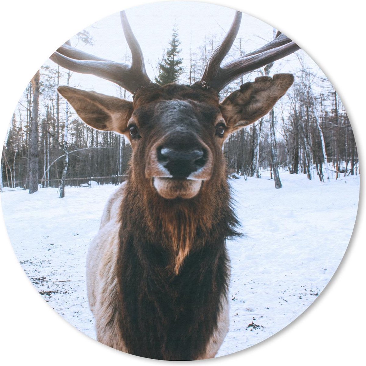 Muismat rond 30x30 cm - Mousepad Hert - Sneeuw - Gewei - Ronde muismatten