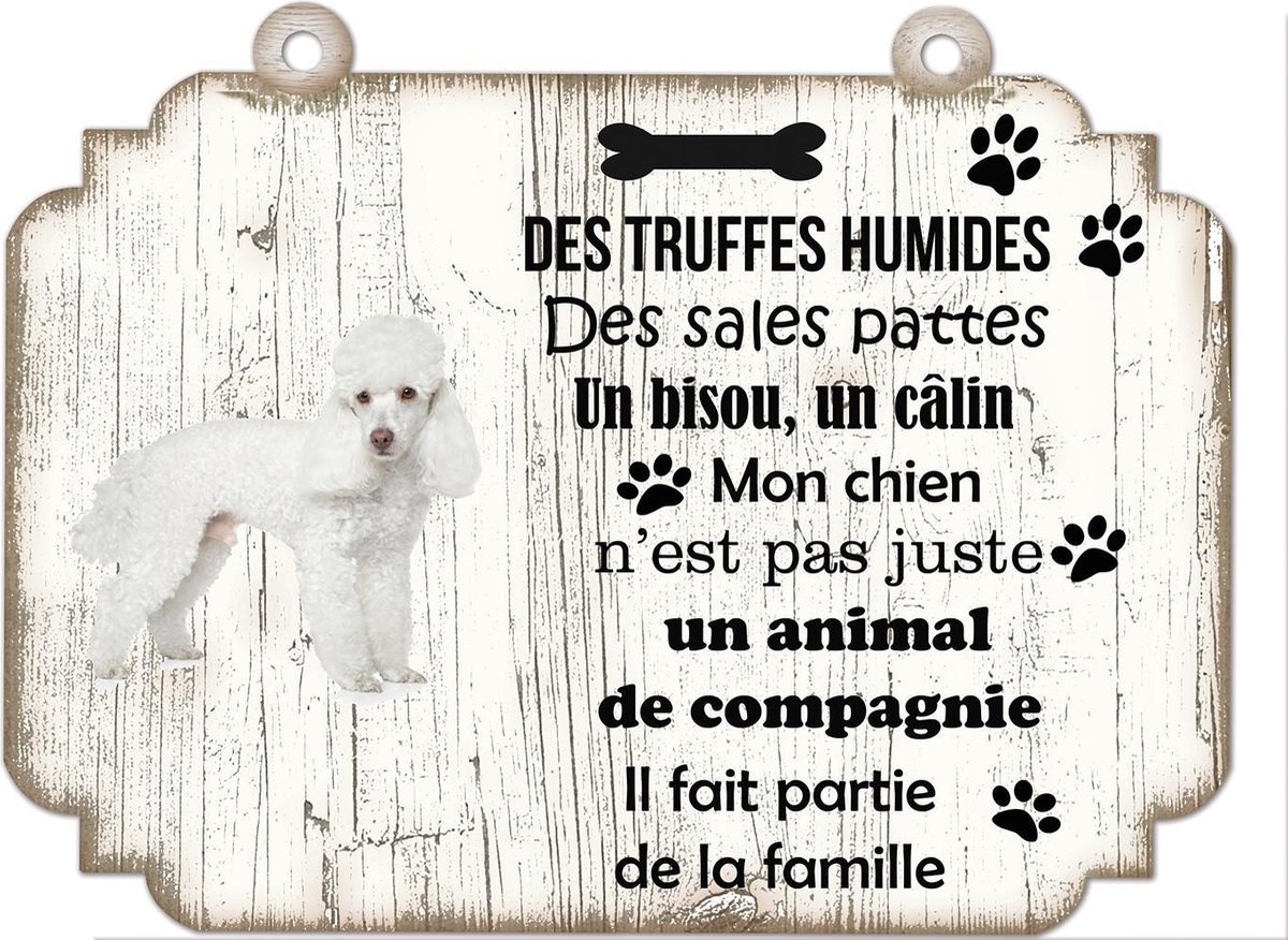 Tableau Déco - Caniche