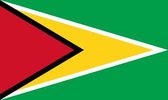 vlag Guyana 50x75cm