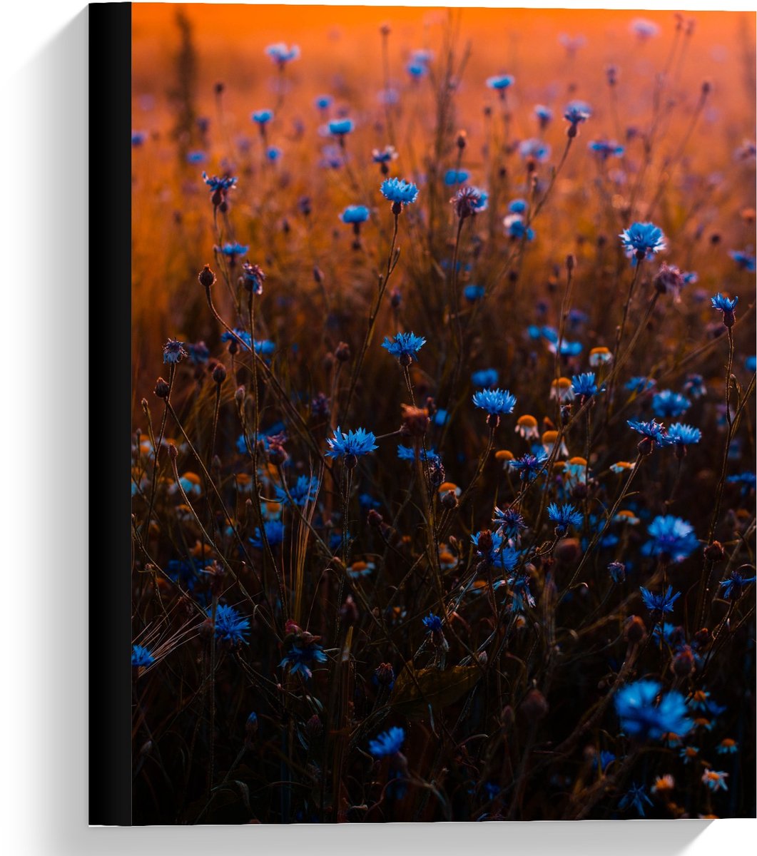 Canvas - Blauwe Bloemetjesstruik - 30x40cm Foto op Canvas Schilderij (Wanddecoratie op Canvas)