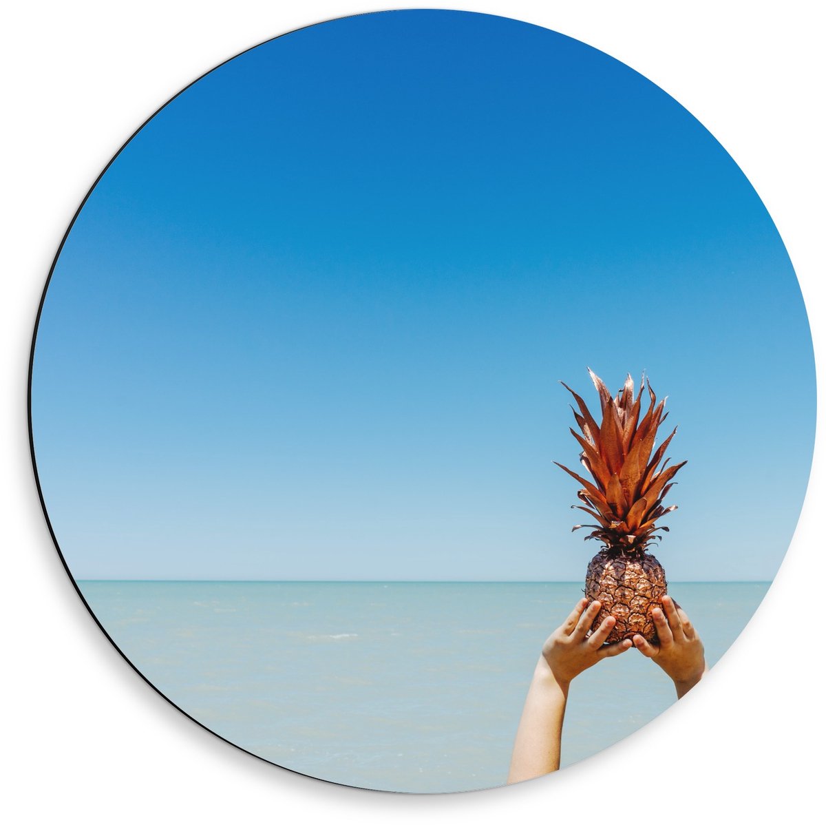 Dibond Wandcirkel - Gouden Ananas in de Lucht - 50x50cm Foto op Aluminium Wandcirkel (met ophangsysteem)