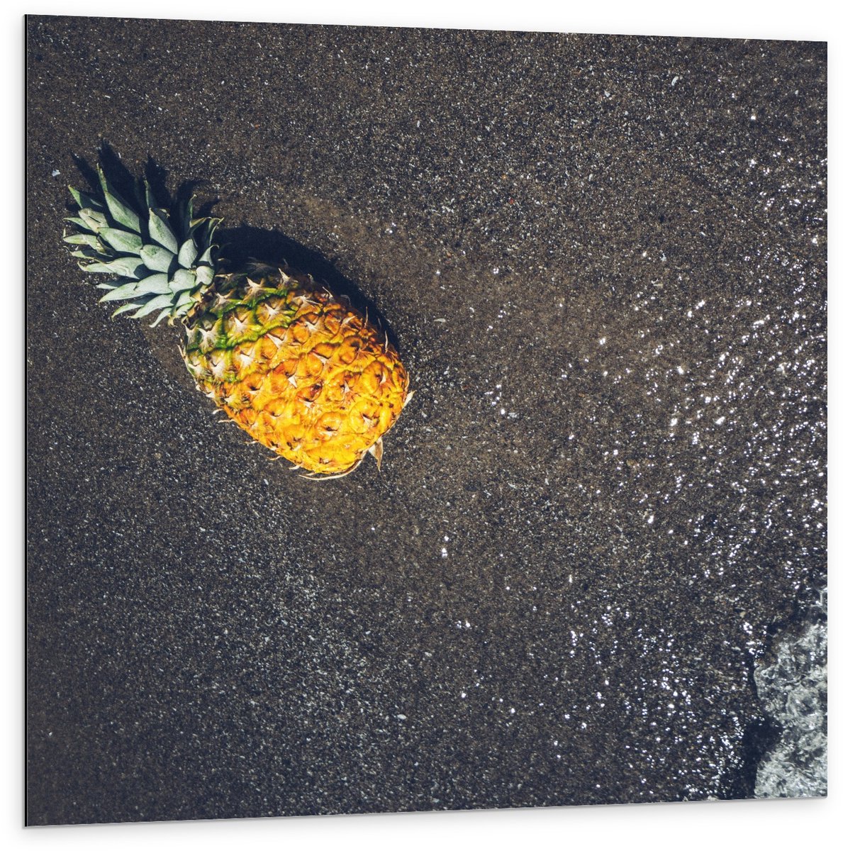 Dibond - Ananas bij het Water - 100x100cm Foto op Aluminium (Met Ophangsysteem)