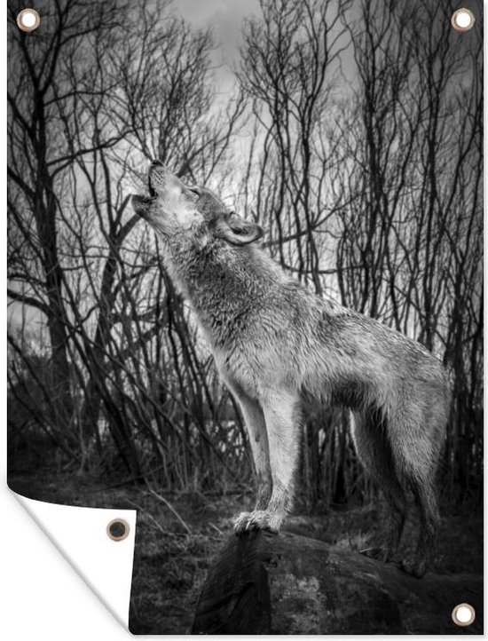 Toile Imprimée Loup Mystique - Décoration Murale 30x40 Cm, Style Vintage, Métal/étain