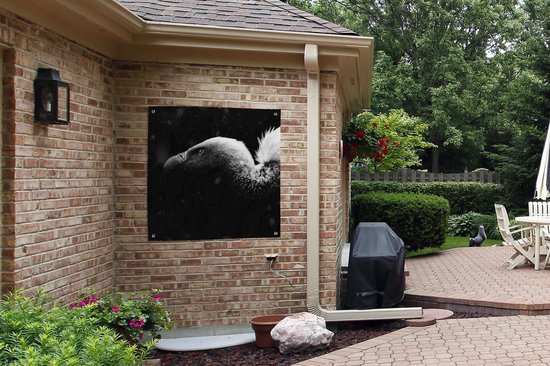 Tissu de jardin Gros plan d'un vautour fond noir - noir et blanc - 100x100 cm