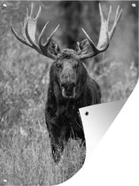 Tuinposter - Tuindoek - Tuinposters buiten - Eland van nabij weergeven - zwart wit - 90x120 cm - Tuin