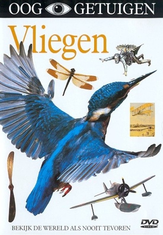 Cover van de film 'Ooggetuigen - Vliegen'