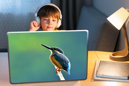 Autocollant pour ordinateur portable - 17,3 pouces - Martin-pêcheur - Branches - Blauw - 40x30cm - Autocollants pour ordinateur portable - Peau pour ordinateur portable - Couverture