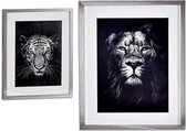 Schilderij Lion - Tiger Glas Kristal MDF (3 x 53 x 43 cm) (43 x 3 x 53 cm)