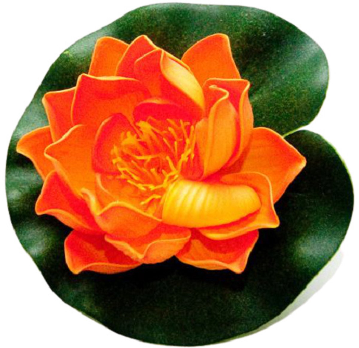 Velda Lotus Foam Orange 10 cm