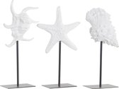 Decoratieve figuren DKD Home Decor Metaal Hars (3 pcs) (19.5 x 8 x 34 cm)