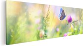 Artaza Peinture sur toile Papillon bleu près d'une Bloem violette – 60 x 20 – Photo sur toile – Impression sur toile