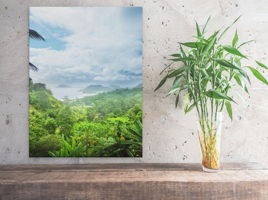 Artaza Peinture sur toile Vue de la jungle des Seychelles - 30 x 40 - Klein - Photo sur toile - Impression sur toile