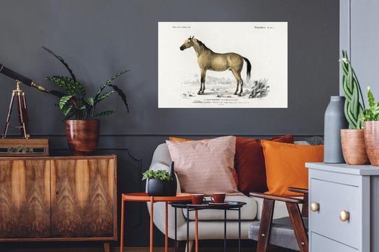 Stickers muraux - Film autocollant - Cheval - Vintage - Animal - 90x60 cm - Film adhésif - Stickers muraux chambre enfant - Papier peint autocollant - Papier peint autocollant - Film autocollant