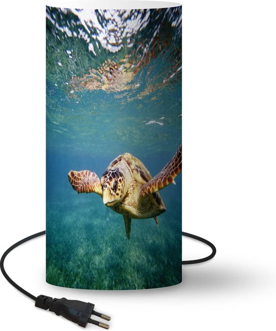 Lamp Vrije Dieren - Schildpad onder water lamp - 33 cm hoog - Ø16 cm -  Inclusief LED lamp | bol.com